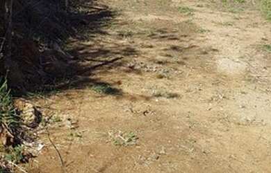 Imagem 6: Terreno em Cabo Frio. 250m² de Área