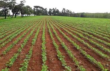 Imagem: A fazenda possui 12380000m² de Área e está localizado em