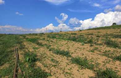 Imagem: O terreno possui 500m² de Área e está localizado em Adalgisa