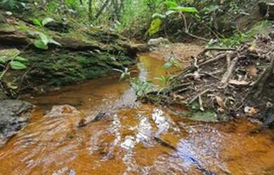 Imagem 5: Lote Represa de Corumbá 4 - Parcelas R$599 a R$1.500,00 - Condomínio...