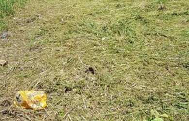 Imagem: O terreno possui 228m² de Área e está localizado em Ipê