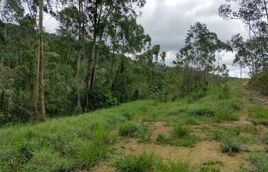 Imagem 8: Bota Fora - Área Rural com 52 Alqueires Região da Fernão Dias