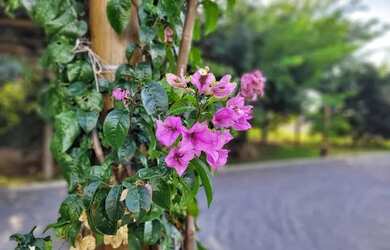 Imagem 10: Magnífico terreno à venda, 412 m² por R$ 300.000 - Condomínio San...