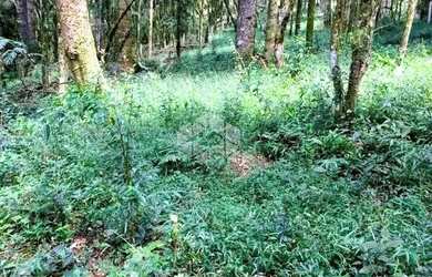 Imagem 12: A venda terreno de 21.299,70m² localizado no Parque dos Pinheiros em...