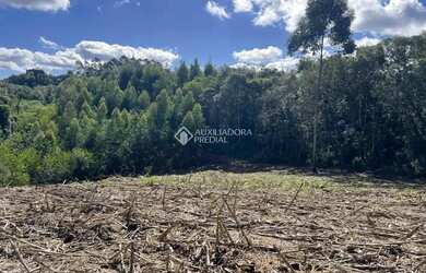 Imagem 4: Área Pinhal Alto- Nova Petrópolis/RS