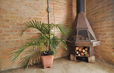 Imagem 4: Sobrado Rústico à venda com 5 quartos na Vila Nova Mazzei Zona Norte