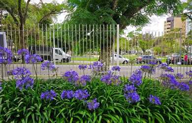 Imagem 3: IMÓVEL LOCADO , SOMENTE PARA INVESTIDOR