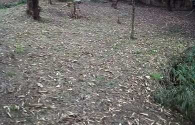 Imagem 5: AREA - JARDIM PROFESSOR BENOÁ - SP