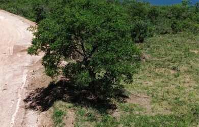 Imagem: O terreno possui 1.000m² de Área, Imóvel novo e está localizado