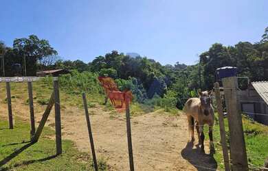 Imagem: A fazenda possui 4.361m² de Área e está localizado em Contenda