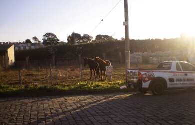 Imagem: O terreno à venda e está localizado em Caxias do Sul, RS por