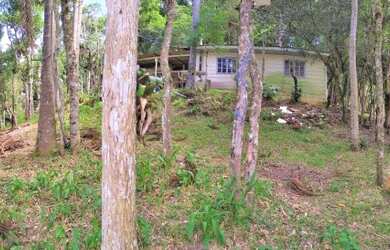 Imagem 13: Área para Venda em Tijucas do Sul, São Joãozinho