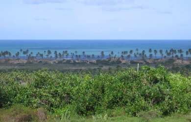 Imagem: A fazenda possui 649.000m² de Área e está localizado em