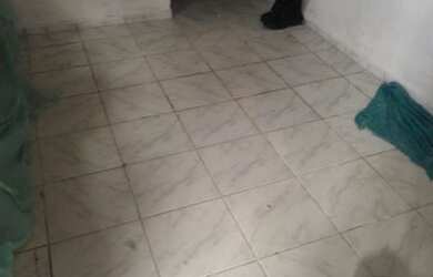 Imagem 10: Casa. 3 Banheirose5 Dormitórios