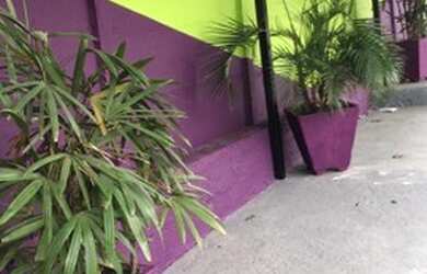 Imagem 8: 2 lojas de Açai ou lanchonete ou caldo de cana ou Doceria