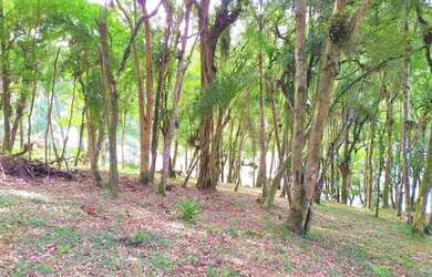 Imagem 11: Área para Venda em Tijucas do Sul, São Joãozinho
