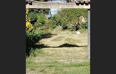 Imagem: O terreno e está localizado em Novo Horizonte, Serra à venda