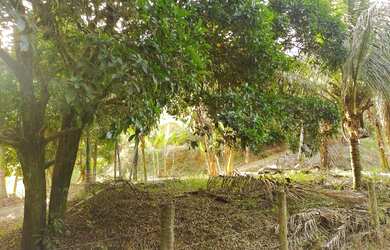 Imagem 1: Chácaras em Formate viana