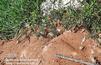 Imagem 2: Terreno abençoado 5x20. 100m² de Área