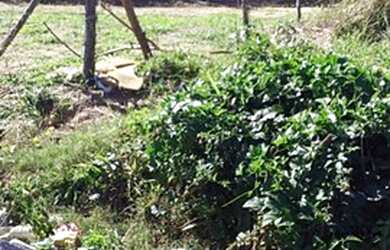 Imagem 4: Terreno em Cabo Frio. 250m² de Área