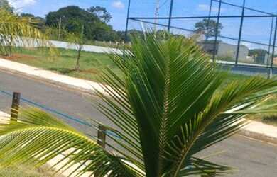 Imagem 9: Lote em condomínio fechado