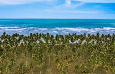 Imagem 7: Lote/Terreno para venda tem 500M2 Paiva condominio fechado estrutura completa