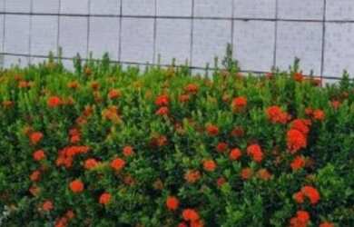 Imagem: A casa possui 3 Dormitórios, 2 Banheiros, 360m² de Área e