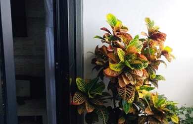 Imagem 15: APARTAMENTO RESIDENCIAL em SALVADOR - BA, SABOEIRO