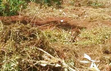 Imagem: O terreno possui 300m² de Área e está localizado em Setor