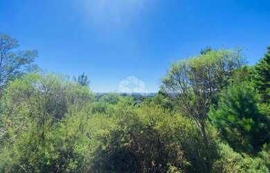 Imagem 16: A venda terreno de 21.299,70m² localizado no Parque dos Pinheiros em...