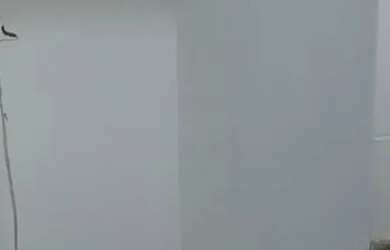 Imagem 14: Aluguel Quarto e Sala em Flamengo - Rio de Janeiro - RJ