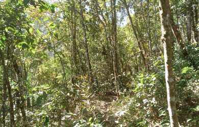 Imagem 6: Super lote pe na agua represa e acesso cachoeira 80 mil reais