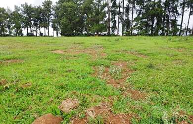 Imagem 13: Lote/Terreno para venda tem 600 metros quadrados em Jardim Europa - Bragança...