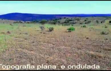 Imagem 13: PROPRIEDADE 5.092 HECTARES FAZENDAS REUNIDAS JP JEQUIÉ BA