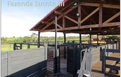 Imagem 8: Fazenda 46 alqueirao com tudo novo Campina Verde-