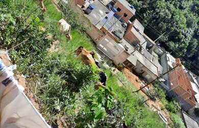 Imagem 3: Terreno abençoado 5x20. 100m² de Área