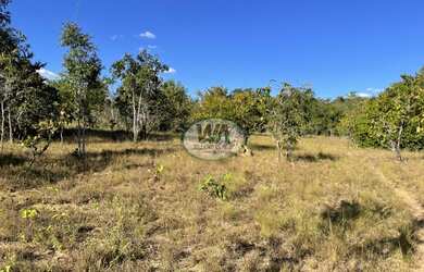 Imagem 3: Fazenda para pecuária ou agricultura na Região de Paraíso -TO