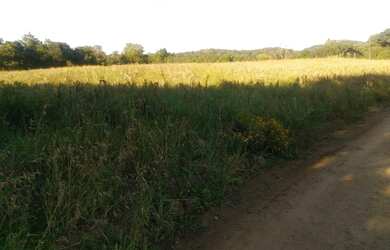 Imagem: A fazenda possui 15.000m² de Área e está localizado em Nova