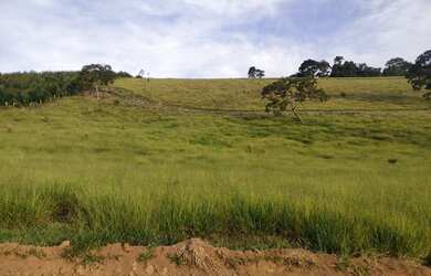 Imagem 8: Lote/Terreno para venda tem 1000 metros quadrados em vila verde