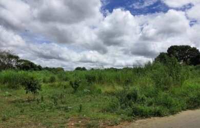 Imagem: O terreno possui Churrasqueira e está localizado em Parque