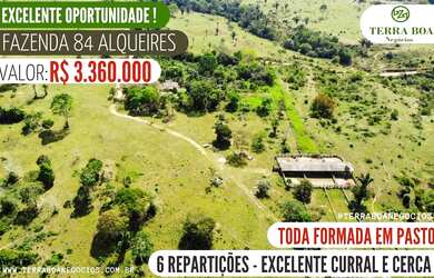 Imagem: FAZENDA 84 ALQUEIRES TODA FORMADA EM PASTA APÓS NOVA MUTUM/RONDÔNIA