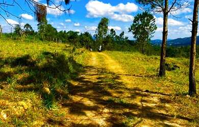 Imagem: O terreno possui 1.000m² de Área e está localizado em Centro