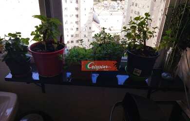 Imagem 7: Apartamento à venda, 45 m² por R$ 255.000,00 - Ponte Grande - Guarulhos/SP