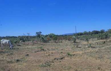 Imagem 4: Fazenda à venda, 561 hectares por R$ 7.100.000 - Zona Rural - São João...