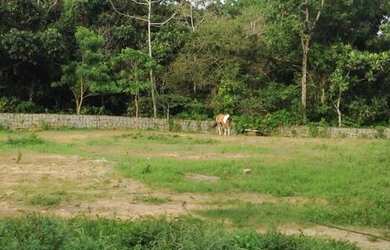 Imagem 16: Lote/Terreno para venda com metros quadrados em Jacarepaguá - Rio de...