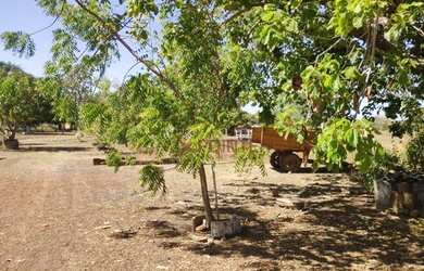 Imagem 10: Fazenda à venda, 561 hectares por R$ 7.100.000 - Zona Rural - São João...