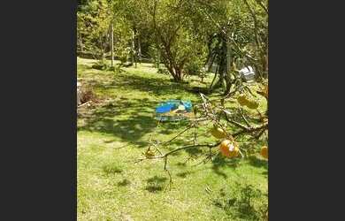 Imagem 9: CHÁCARA A VENDA NO BAIRRO DO PORTÃO - ATIBAIA