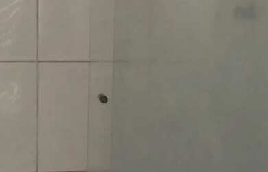 Imagem 6: ALUGO CASA NO JANGA. 150m² de Área, 2 Vagas na garageme3 Dormitórios