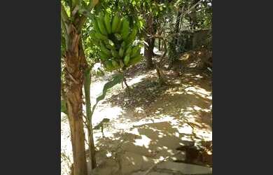 Imagem 5: Casa a venda. Varanda, 1 Banheiroe1 Dormitório