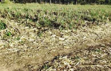 Imagem: Terrenos Em Atibaia Parcelamos Sem Juros Aceitamos Veiculos